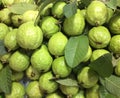 Fresh guavas