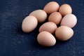 Eggs of guinea fowl on blue background Royalty Free Stock Photo