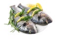 Fresh gutted fish dorado and ingredients for cooking, lemon, pepper and rosemary in a plate isolated