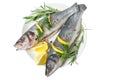 Fresh gutted fish seabass and ingredients for cooking, lemon, pepper and rosemary isolated on white background