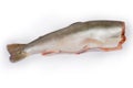 Fresh gutted uncooked arctic char without head on white background Royalty Free Stock Photo
