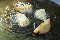 Fresh Gyoza fried in a pan