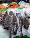 Fresh hakes in the market of la boqueria Royalty Free Stock Photo