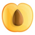 Fresh half apricot icon, cartoon style