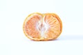 Fresh half cut orange front view Royalty Free Stock Photo
