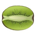 Fresh half kiwi icon, cartoon style