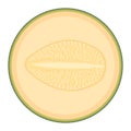 Fresh half melon fruit isolated on white background. Cantaloupe melon. Summer fruits for healthy lifestyle. Organic fruit. Cartoon Royalty Free Stock Photo