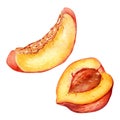 Fresh half red peach watercolor illustration isolated on white. Hand drawn slice, piece orange fruit nectarine. Painting