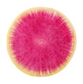 Fresh half of watermelon radish isolated on white background with clipping path. Royalty Free Stock Photo