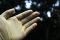 Fresh hand wear gloves natural background photo Royalty Free Stock Photo