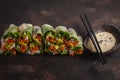 Fresh handmade vegan asian spring rolls with rice noodles, avoca Royalty Free Stock Photo