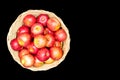 Fresh harvest of apples in basket