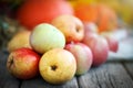 Fresh harvest of apples. Happy Thanksgiving Day. Harvest festival. Autumn background. Royalty Free Stock Photo