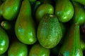 Fresh harvest avocado pile in grocery