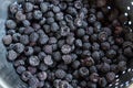Fresh harvest of a black raspberry Royalty Free Stock Photo