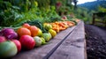 Fresh Harvest: Colorful Vegetables on Wooden Plank