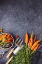 Fresh Harvest Delights. Flat lay composition of carrots, tomatoes, cucumbers, eggplants Royalty Free Stock Photo