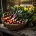 Fresh Harvest from the Farm: Carrots, Beets, and Turnips