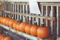 Fresh harvest farm pumpkins on shelf in market place, Halloween and Thanksgiving Royalty Free Stock Photo