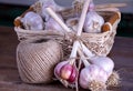 Fresh harvest garlic wicker basket and a coil of rope