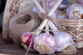 Fresh harvest garlic wicker basket and a coil of rope