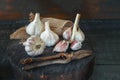 Fresh harvest garlic on a wooden stand in a rustic style. Art. Copy the place.