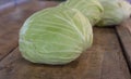 Fresh Harvest Green Cabbage