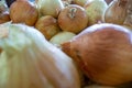 Fresh harvest of juicy onions at local fruit market Royalty Free Stock Photo