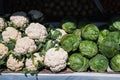 fresh harvest of raw cauliflower and cabbage on shelf at the vegetable farmers bazaar Royalty Free Stock Photo