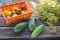 Fresh harvest of red and yellow tomatoes in a wicker basket on an old wooden table Royalty Free Stock Photo