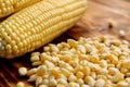 Fresh harvest of ripe, juicy, young corn Royalty Free Stock Photo