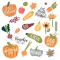 Fresh harvest vector set isolated on white background