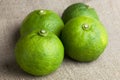 Fresh harvested Asian lime Royalty Free Stock Photo