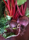 Fresh harvested beetroots and dill