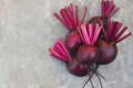 Fresh harvested beetroots, pile of homegrown organic beets with leaves