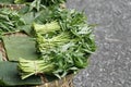 Fresh harvested Chinese morning glory vegetable in market Royalty Free Stock Photo