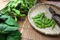 Fresh harvested edamame soybeans