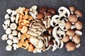 Fresh harvested edible various mushrooms from market Royalty Free Stock Photo