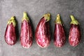 Fresh harvested eggplants, pile of homegrown organic aubergines Royalty Free Stock Photo