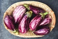 Fresh harvested eggplants, pile of homegrown organic aubergines