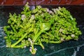 Fresh harvested green malabar spinach or basella alba vegetables