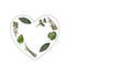 Fresh harvested herbs isolated on white create shape of heart. Natural medicine.