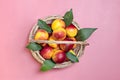 Fresh harvested nectarines, plate, leaves lies round on pink background Vegetables vitamin Keratin Natural Peach Organic Royalty Free Stock Photo