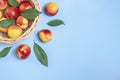 Fresh harvested nectarines, plate, leaves lies round on pink background Vegetables vitamin Keratin Natural Peach Organic Royalty Free Stock Photo