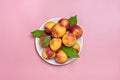 Fresh harvested nectarines, plate, leaves lies round on pink background Vegetables vitamin Keratin Natural Peach Organic Royalty Free Stock Photo