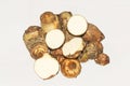 Fresh harvested organic taro corms,satoimo potatoes or taro roots on white background