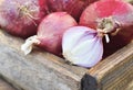 Fresh harvested red onions in wooden crate, pile of homegrown organic vegetables