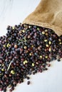 Fresh harvested ripe black olives , Mediterranean fall sign