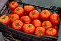 Fresh harvested ripe red tomatoes for sale on weekly spanish market in Andalusia, Spain Royalty Free Stock Photo