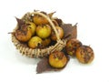 Fresh havest bio Medlar Royalty Free Stock Photo